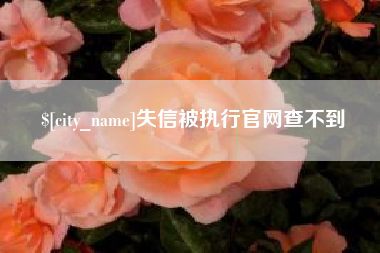 咸宁失信被执行官网查不到