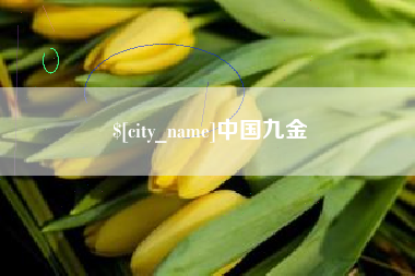 咸宁中国九金