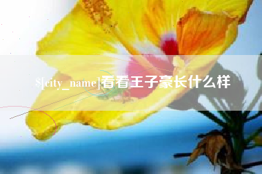 咸宁看看王子豪长什么样