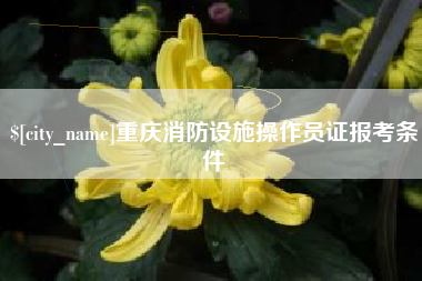 咸宁重庆消防设施操作员证报考条件