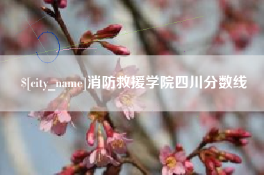 咸宁消防救援学院四川分数线