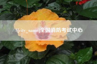 咸宁全国消防考试中心