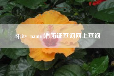 咸宁消防证查询网上查询