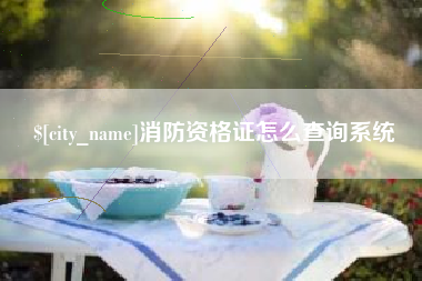 咸宁消防资格证怎么查询系统