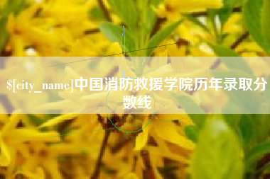 咸宁中国消防救援学院历年录取分数线