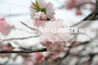 咸宁11月9日消防日全称
