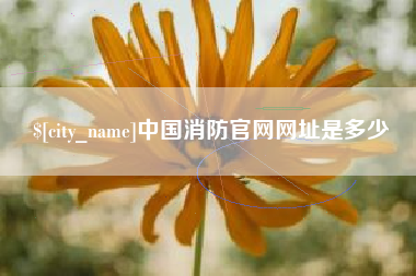 咸宁中国消防官网网址是多少