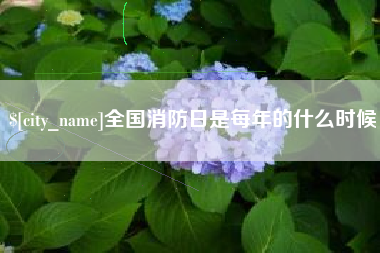 咸宁全国消防日是每年的什么时候