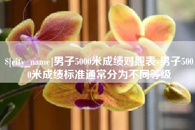 咸宁男子5000米成绩对照表-男子5000米成绩标准通常分为不同等级