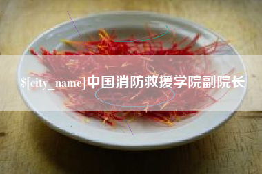 咸宁中国消防救援学院副院长
