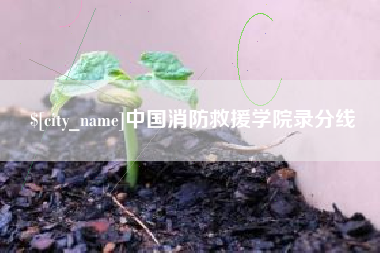 咸宁中国消防救援学院录分线