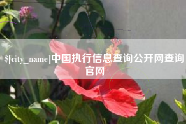 咸宁中国执行信息查询公开网查询官网