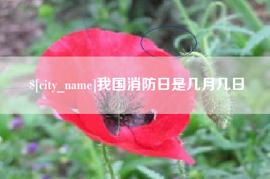 咸宁我国消防日是几月几日