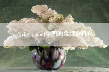 咸宁中国的金牌有几名