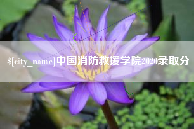 咸宁中国消防救援学院2020录取分