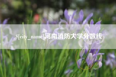 咸宁河南消防大学分数线