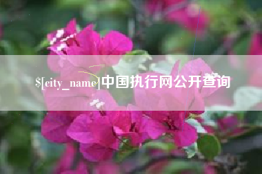 咸宁中国执行网公开查询