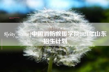 咸宁中国消防救援学院2021年山东招生计划