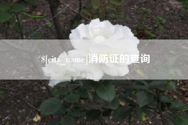 咸宁消防证的查询
