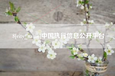 咸宁中国执行信息公开平台