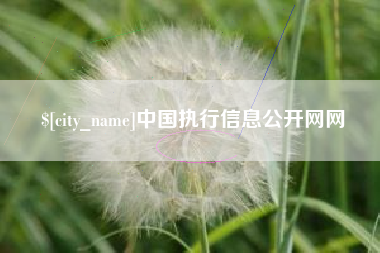 咸宁中国执行信息公开网网