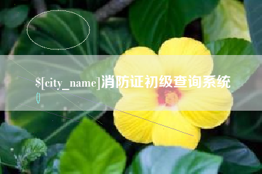 咸宁消防证初级查询系统