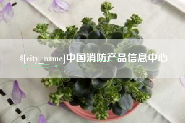 咸宁中国消防产品信息中心