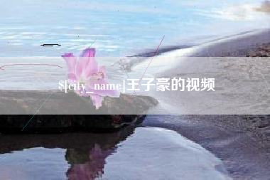 咸宁王子豪的视频