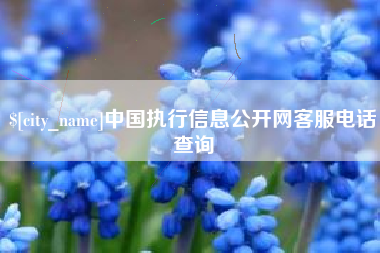 咸宁中国执行信息公开网客服电话查询
