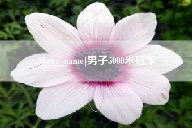 咸宁男子5000米冠军