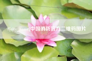 咸宁中国消防官方二维码图片