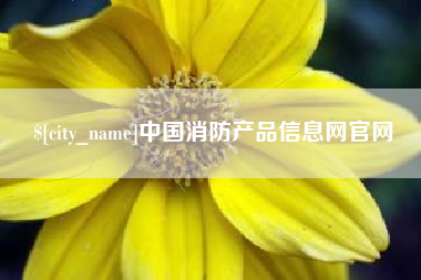 咸宁中国消防产品信息网官网