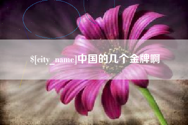 咸宁中国的几个金牌啊