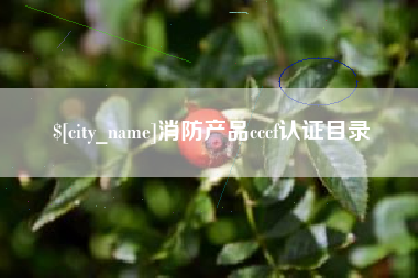 咸宁消防产品cccf认证目录
