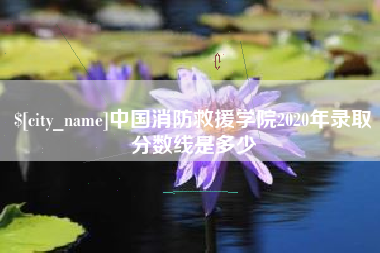 咸宁中国消防救援学院2020年录取分数线是多少