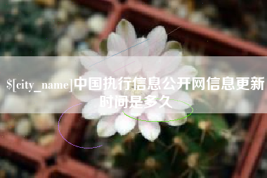 咸宁中国执行信息公开网信息更新时间是多久