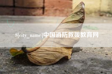 咸宁中国消防救援教育网