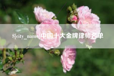 咸宁中国十大金牌律师名单