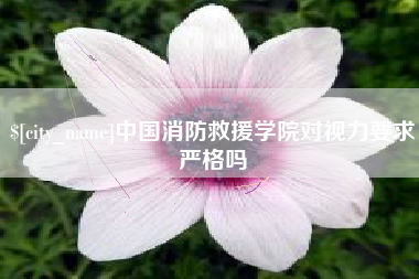 咸宁中国消防救援学院对视力要求严格吗