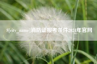 咸宁消防证报考条件2024年官网
