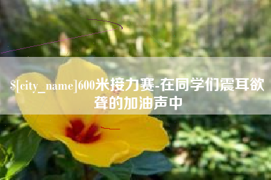 咸宁600米接力赛-在同学们震耳欲聋的加油声中