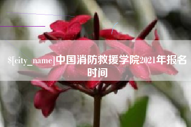 咸宁中国消防救援学院2021年报名时间