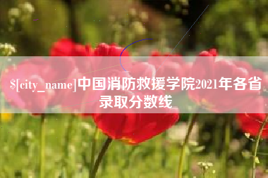 咸宁中国消防救援学院2021年各省录取分数线