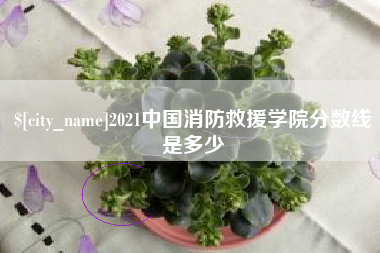 咸宁2021中国消防救援学院分数线是多少