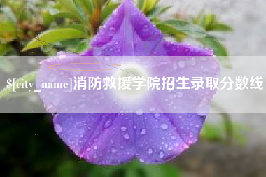 咸宁消防救援学院招生录取分数线
