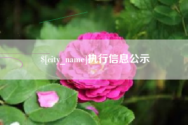 咸宁执行信息公示