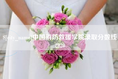 咸宁中国消防救援学院录取分数线2020