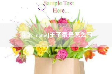 咸宁王子豪是怎么写