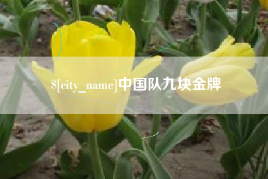 咸宁中国队九块金牌