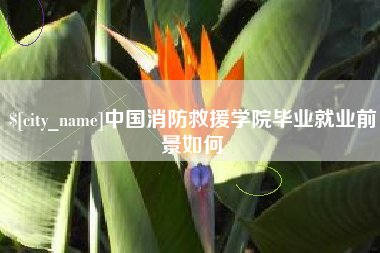 咸宁中国消防救援学院毕业就业前景如何